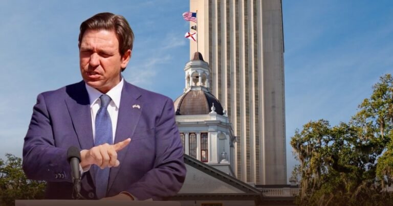 Es oficial: a partir del 1 de octubre, en Florida entra en vigor la ley HB 559 con penas más duras contra el maltrato animal