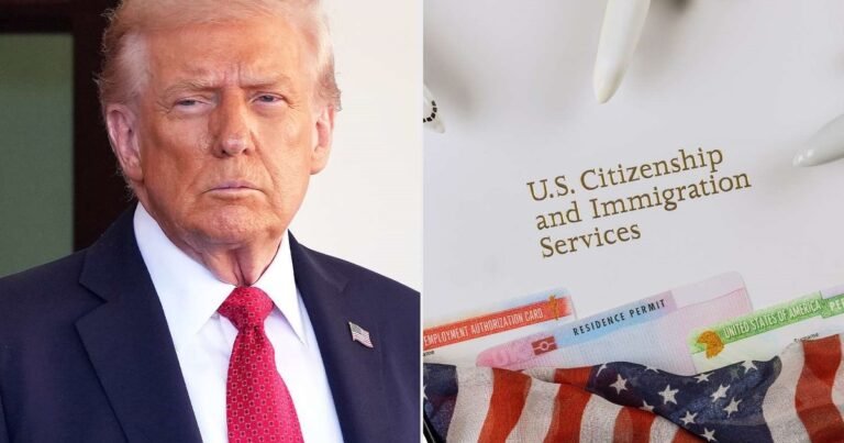 Oficial y confirmado por USCIS | La agencia compra cámaras corporales mientras prepara nuevos agentes con poder para arrestar a inmigrantes
