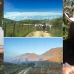 Se mudó a una granja donde protege los manantiales, cultiva frijoles, maíz, verduras y frutas, y cría caballos, aves de corral, ganado vacuno y cabras en libertad