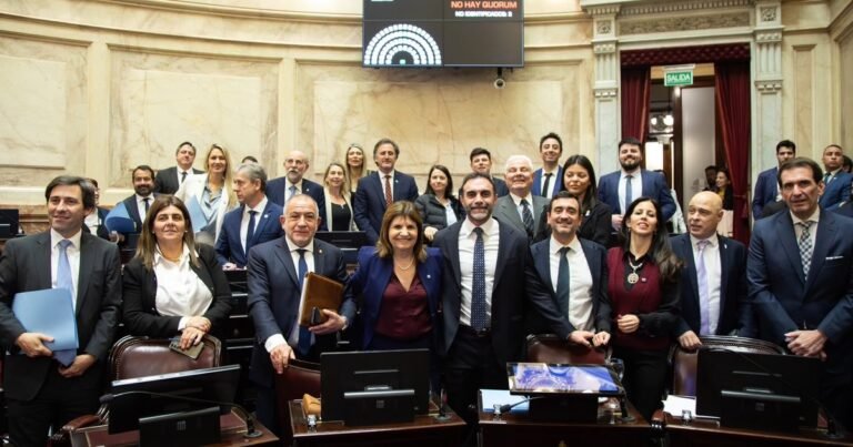 Con cambios en el biodiésel, el Senado aprobó el nuevo marco regulatorio para los biocombustibles