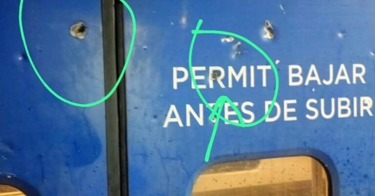 Denuncian que balearon una formación del tren San Martín en pleno recorrido y Trenes Argentinos limitó el recorrido