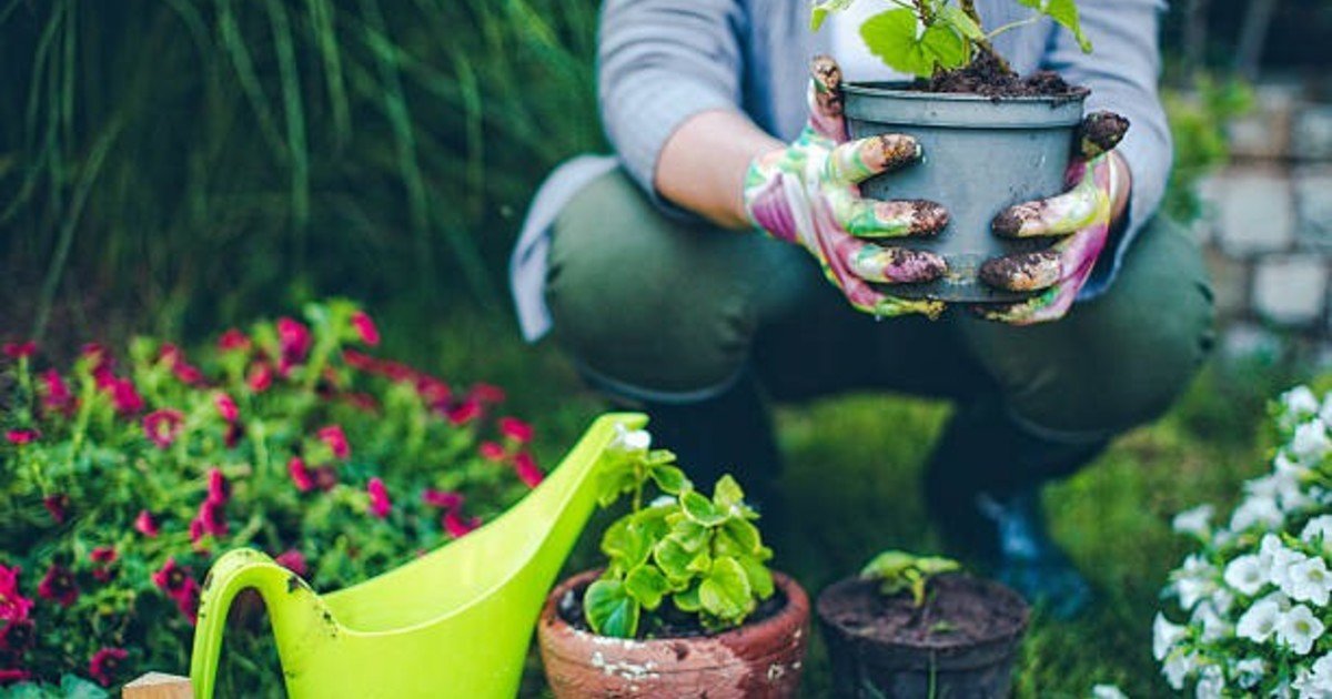 La psicología dice que las personas que ponen nombre a sus plantas, autos u objetos no son raras ni infantiles: simplemente tienen facilidad para establecer vínculos emocionales con su entorno y dotar de significado a las cosas cotidiana