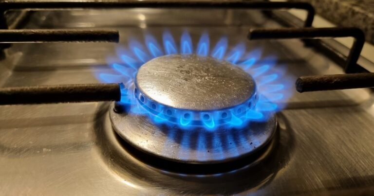 Subsidios: el Gobierno promulgó la ley que modifica el régimen de Zonas Frías