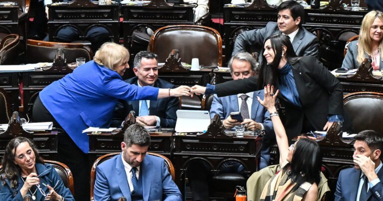 Endeudamiento: el oficialismo no tenía los números para imponer su proyecto y devolvió el tema a la comisión