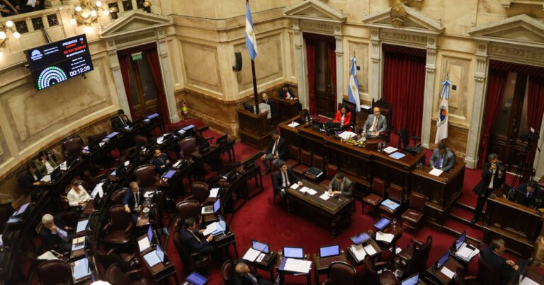 Sin acuerdo en dos puntos clave, el Senado debate hoy el proyecto para cambiar la polémica ley de salud mental