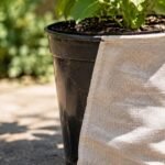 Para qué sirve y por qué recomiendan envolver una maceta negra con tela clara en primavera