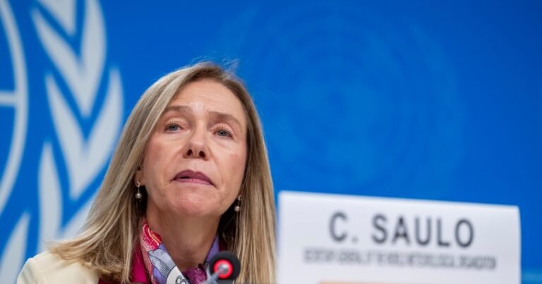 Una suba inédita de temperatura potenciará El Niño a fin de año y preocupa a una experta argentina de la ONU: "Nunca registramos un valor así en el pasado"