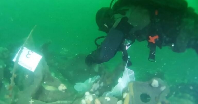 Los restos de un submarino de la Primera Guerra Mundial están derramando explosivos en el mar