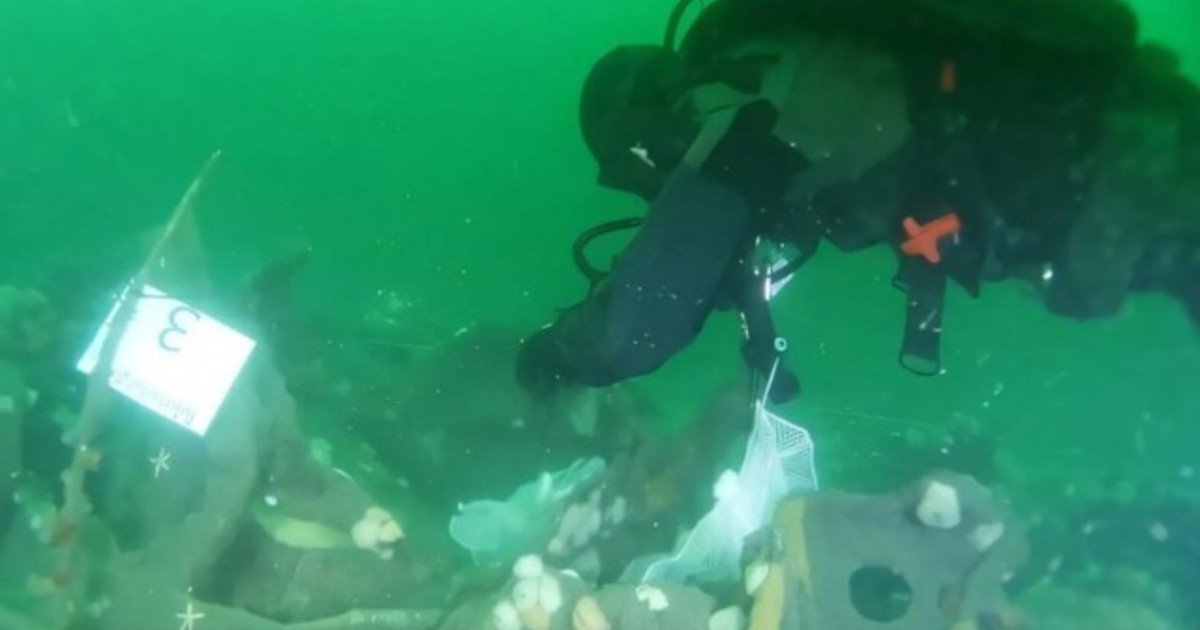 Los restos de un submarino de la Primera Guerra Mundial están derramando explosivos en el mar