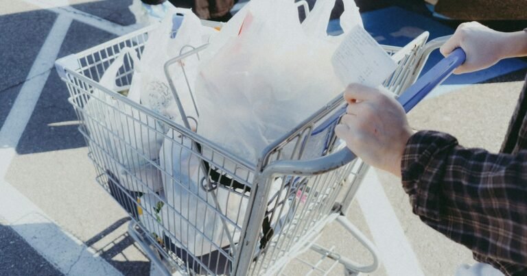 En 2023, ingenieros fundieron bolsas de plástico desechadas para convertirlas en tejas; las tejas, más ligeras, mostraron temperaturas de prueba 16°C más bajas que las de techos estándar