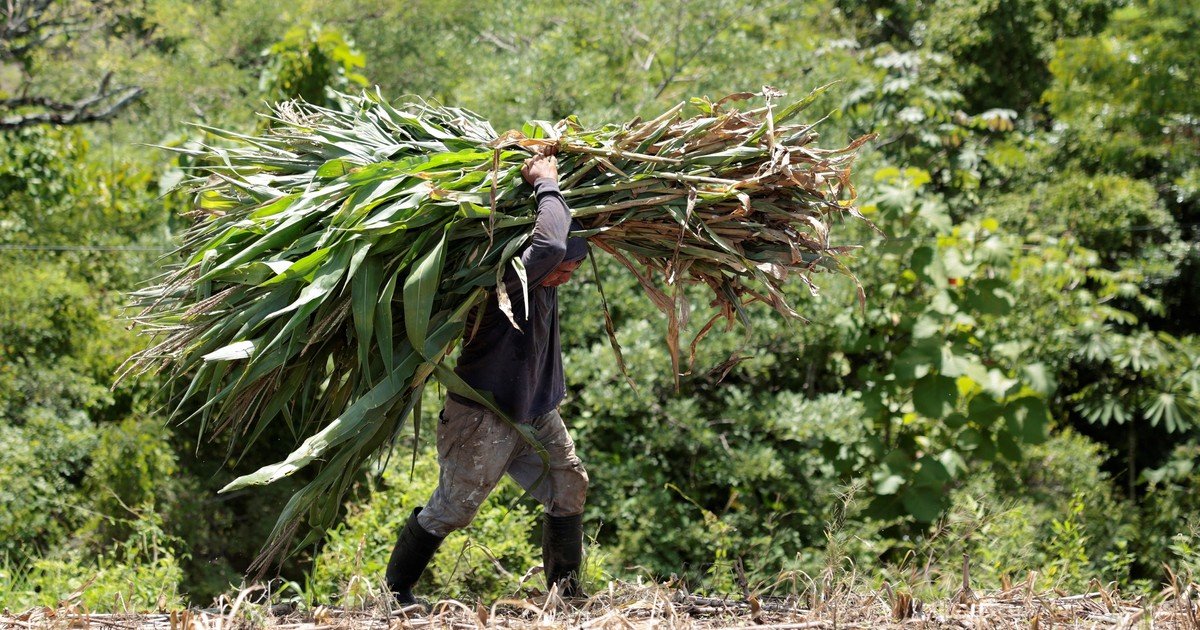Pedro, agricultor de 50 años con 600 hectáreas: "Muevo 400.000 euros al mes con márgenes reducidos"