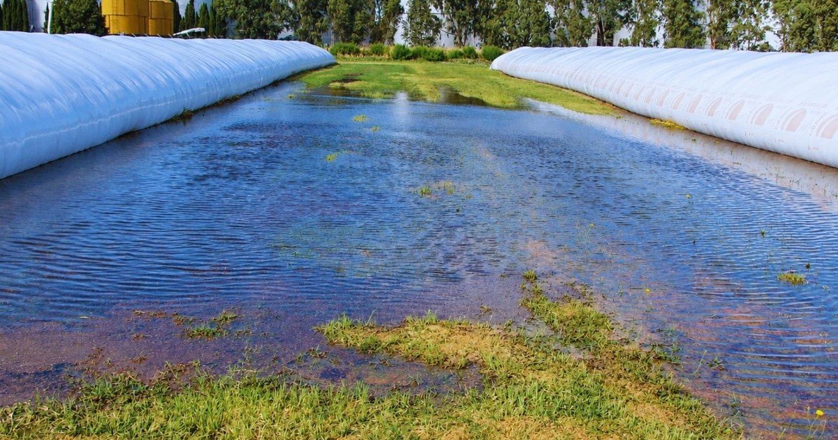 Cómo preparar los silobolsas para reducir riesgos frente a la llegada de El Niño