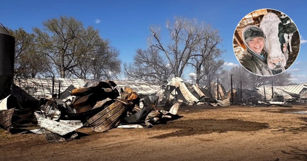 Una joven recién graduada de Dakota del Sur volvió a ayudar a sus abuelos a salvar el rancho familiar después de que un incendio destruyera el establo que construyeron en 1972 y frenara la producción del tambo
