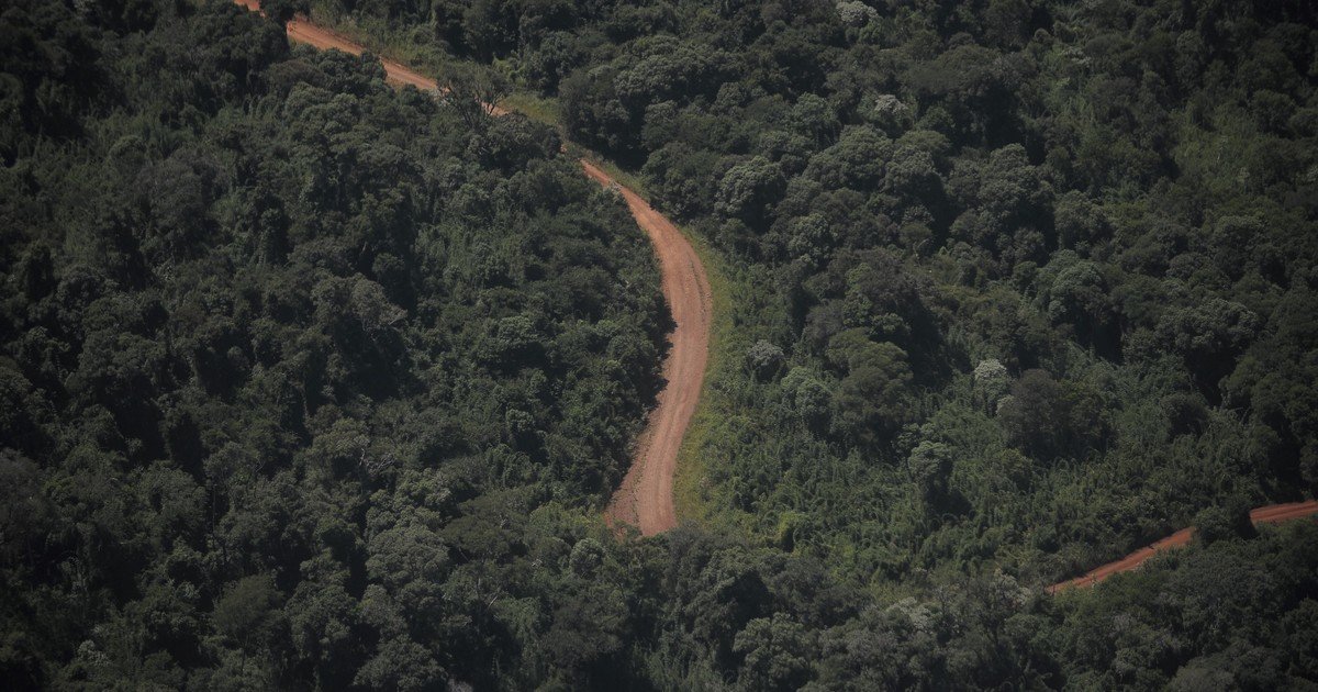 Una provincia que tiene el 90% de su línea limítrofe con otros países fue a la Justicia para frenar la venta sin limitaciones de tierras a extranjeros
