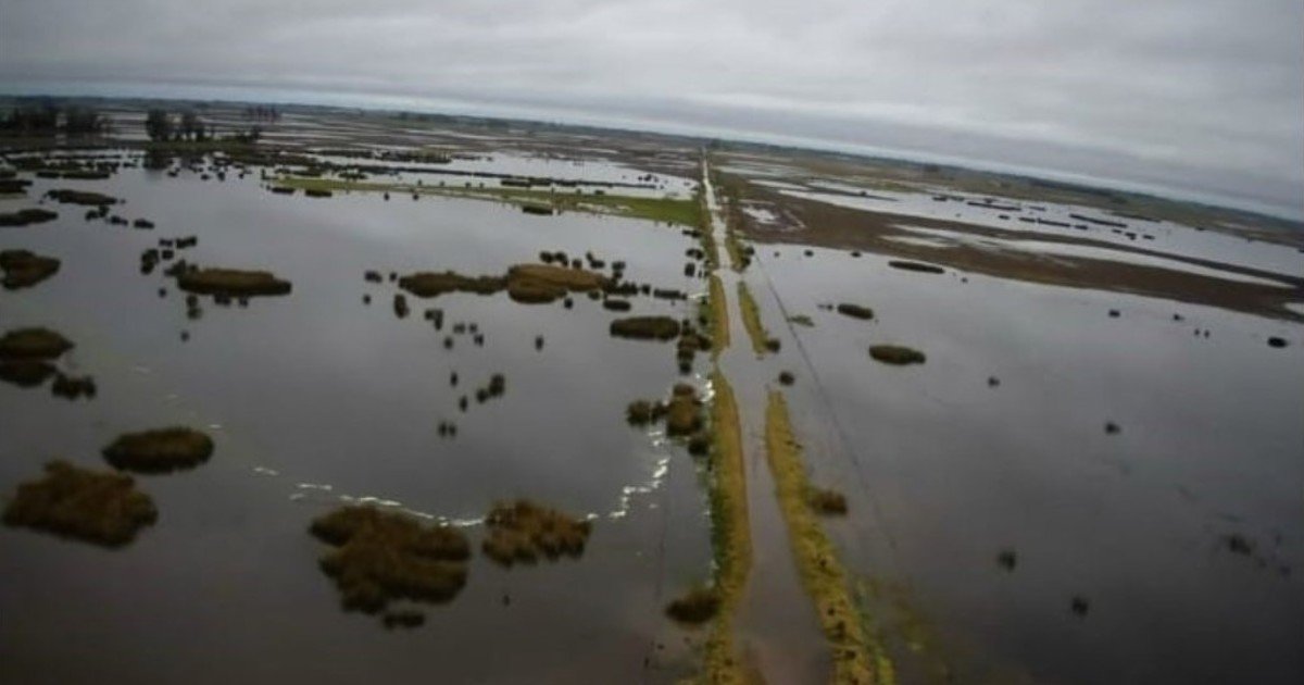 “Estamos a la deriva de lo que llueva”: ya hay excesos hídricos en campos y caminos anegados por el Niño en Buenos Aires y los productores temen que se repitan las inundaciones del año pasado