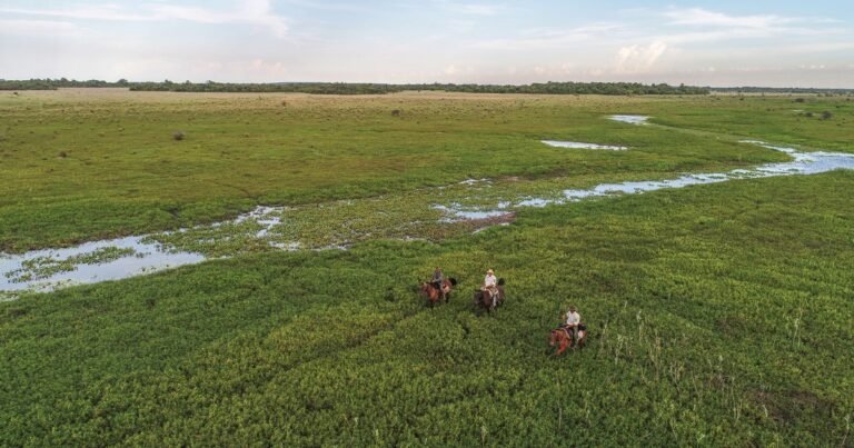En 1991 donaron más de 17 mil hectáreas en Corrientes: hoy son parte de un parque nacional con más de 100 lagunas