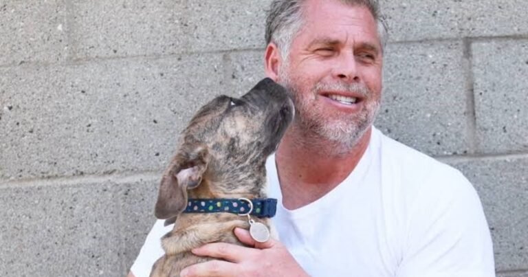 Brian Lee, experto en comportamiento animal: "Cuando lleves a tu perro a restaurantes, antes asegúrate de pasearlo durante unos 45 minutos"