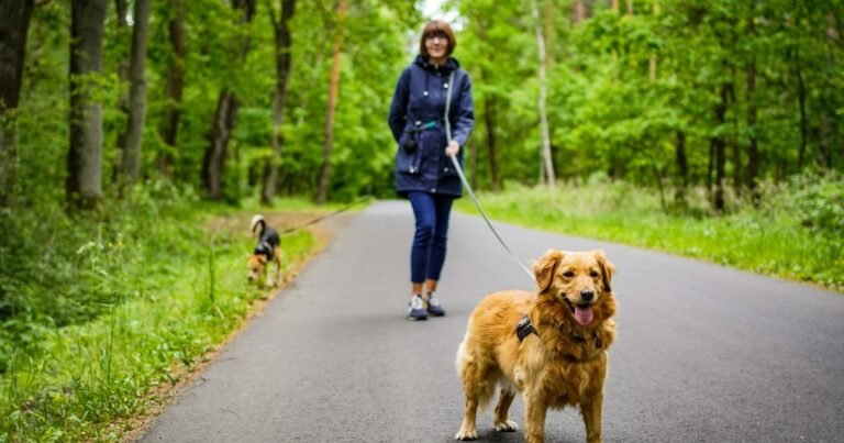 Los expertos en psicología coinciden: los dueños de perros que hacen estas 7 cosas durante los paseos tienden a tener mejores relaciones con las personas
