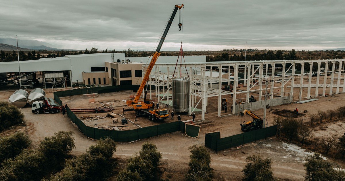 Una olivícola argentina invertirá US$ 19,5 millones en San Juan: apuesta al boom del pistacho