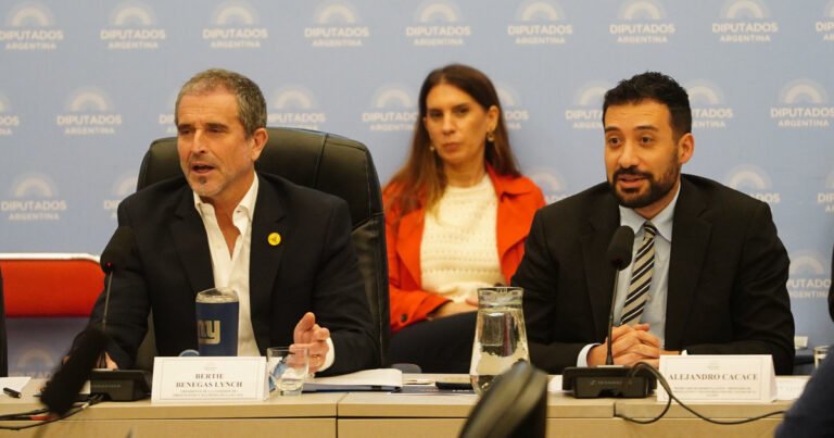 Presupuesto 2027: el Gobierno hizo gestiones contrarreloj pero no pudo convencer a los aliados y el dictamen quedó para noviembre