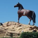 Cómo llegar y donde alojarse en Bragado para la Fiesta Nacional del Caballo