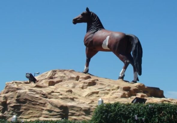 Cómo llegar y donde alojarse en Bragado para la Fiesta Nacional del Caballo