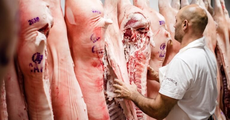 Con más carne fresca y menos chacinados, el cerdo saca "pechito"