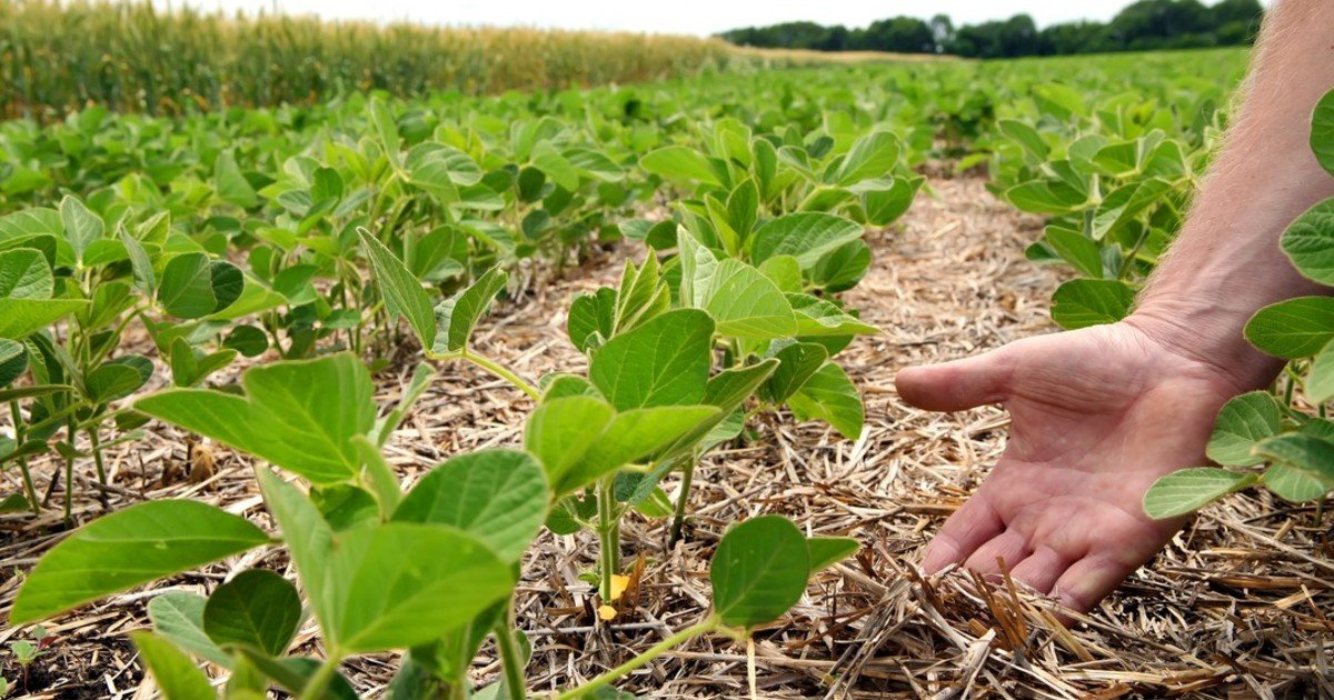 El suelo vivo redefine el crédito agrícola
