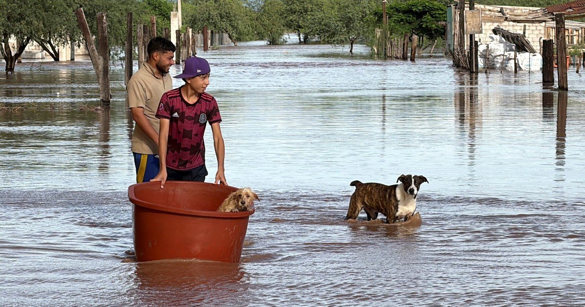Súper Niño 2026 en Argentina, EN VIVO: cuándo será el pico de las fuertes lluvias y cómo cambiará el clima