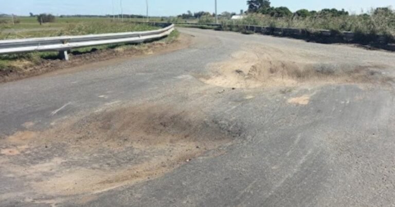 La manta corta que no devuelve recursos al campo