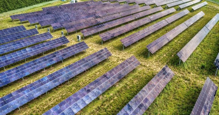 Minnesota aprobó una planta solar de 150 MW con una valla alta y luego añadió salidas de emergencia en las esquinas para que los ciervos puedan salir si logran saltarla