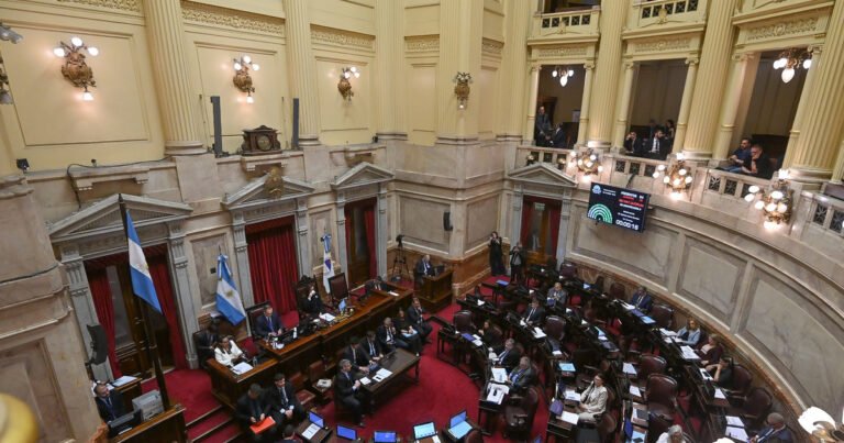 El Senado aprobó la reforma de la Ley Nacional de Salud Mental impulsada por el Gobierno