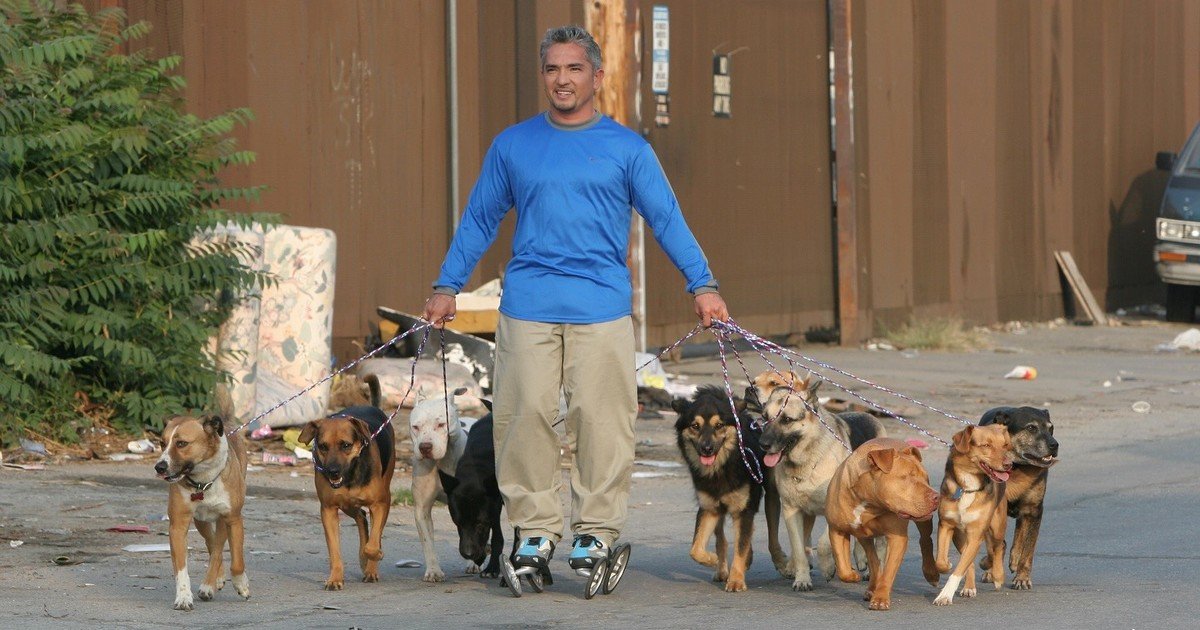 César Millán, experto en adiestramiento canino de 57 años: "Los perros callejeros son los mejores porque no necesitan entrenamiento, solo cariño y amor"